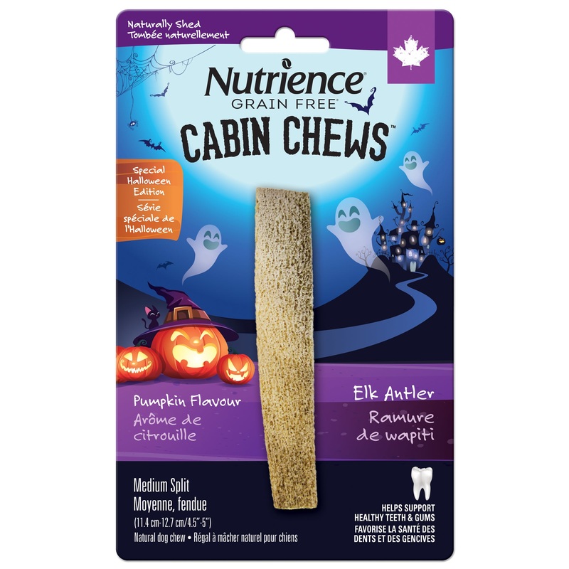 NT Halloween Antler Md Split - Pumpkin