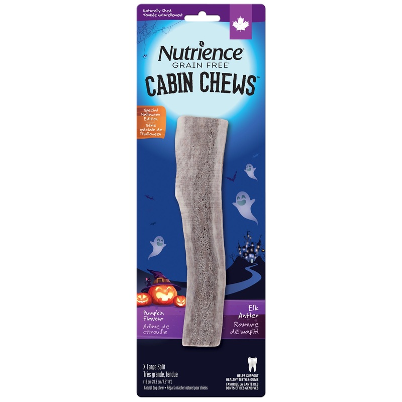 Nutrience Halloween Antler, Pumpkin, X-Large Split