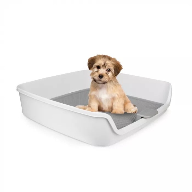 ALL FOR PAWS XLarge Detachable Double Layer Dog Toilet with Columns