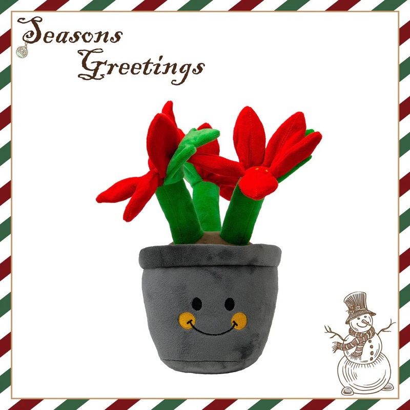 ANCOL Henrietta Poinsettia