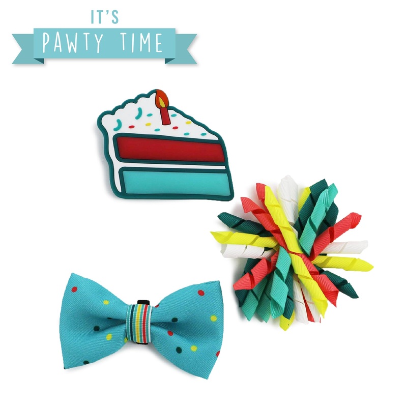 ANCOL It's Pawty Time Collar Accessories for Pets
