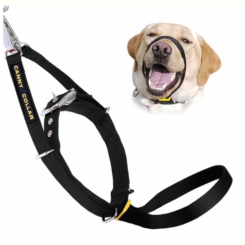 CANNY COLLAR - Stop Pulling