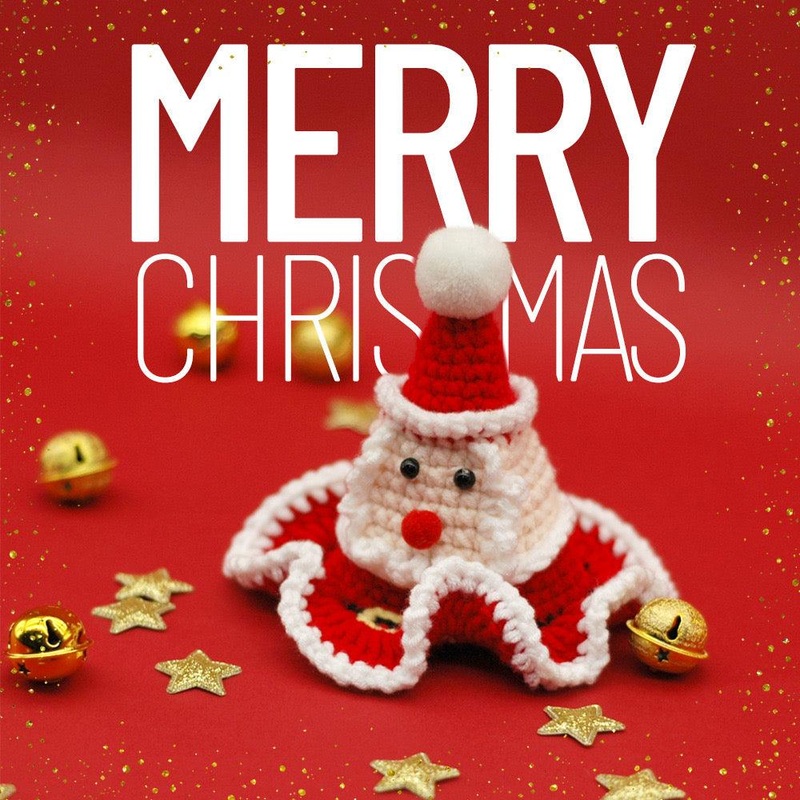 Crochet style Christmas Santa Hat for Pets