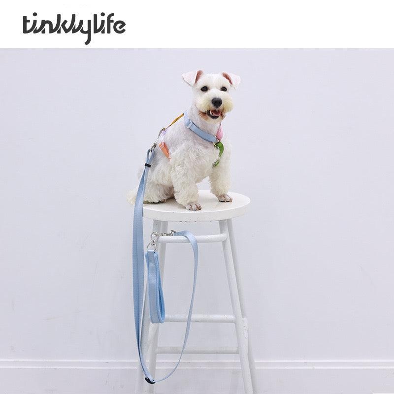 TINKLYLIFE Professional Lead