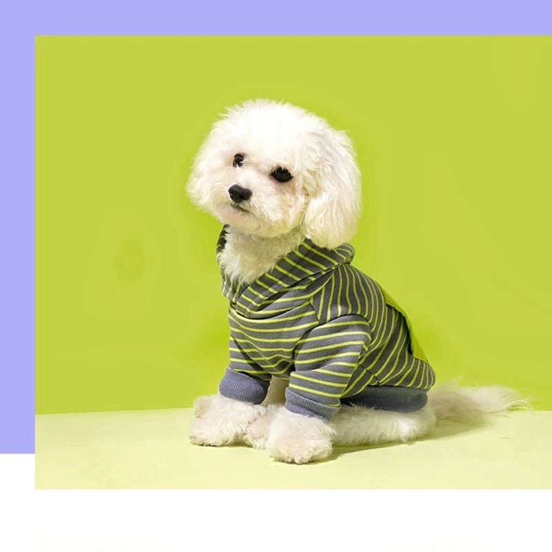 ZEZE Trend Striped Pet Hoody