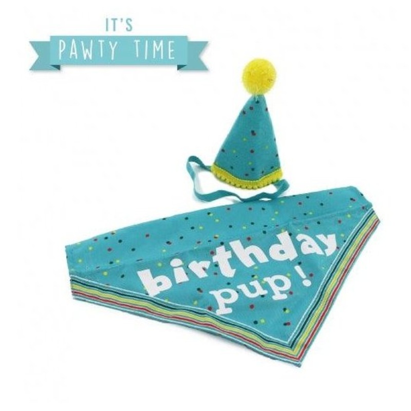 ANCOL Its My Birthday Hat & Bandana