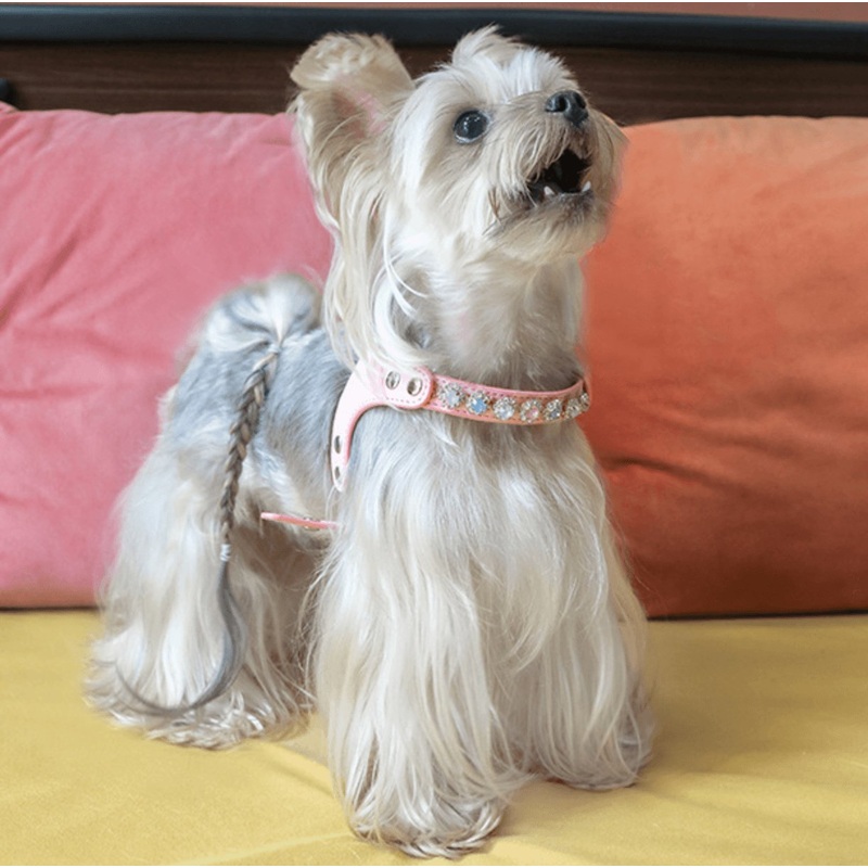 ARKIKA Luxury Leash & Harness with Diamond