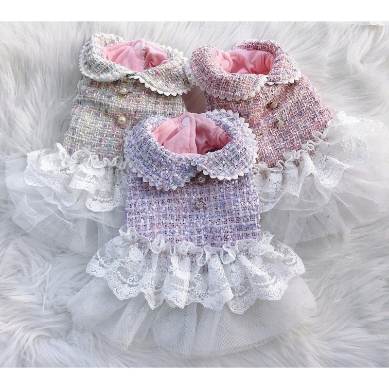 Pet Lace Dress