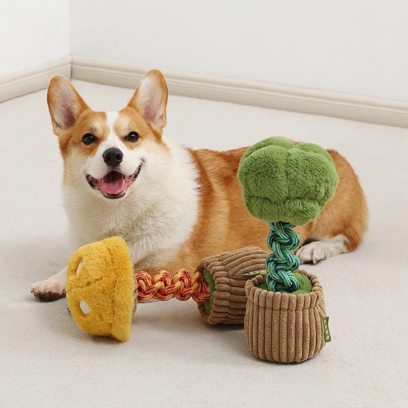 Soft Squeaky Vegetable Chew Toy
