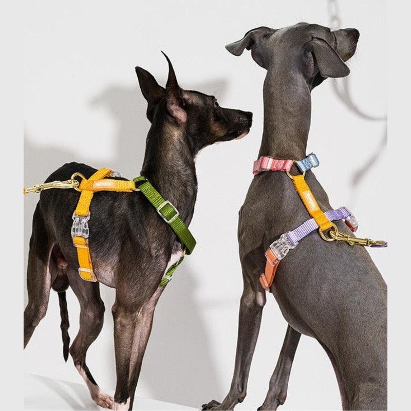 TINKLYLIFE Pet Harness