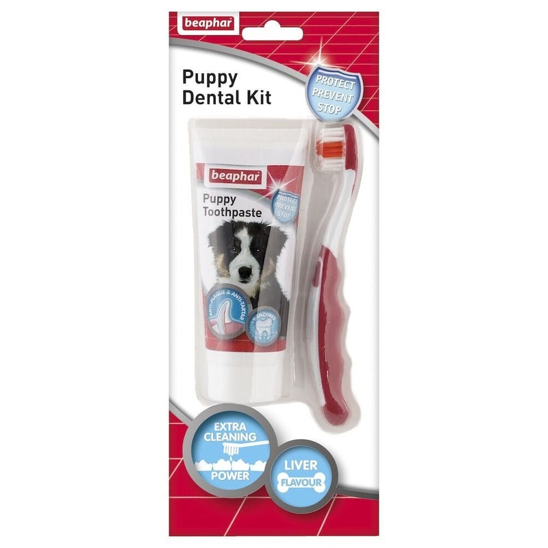 BEAPHAR Toothbrush & Toothpaste for Puppies