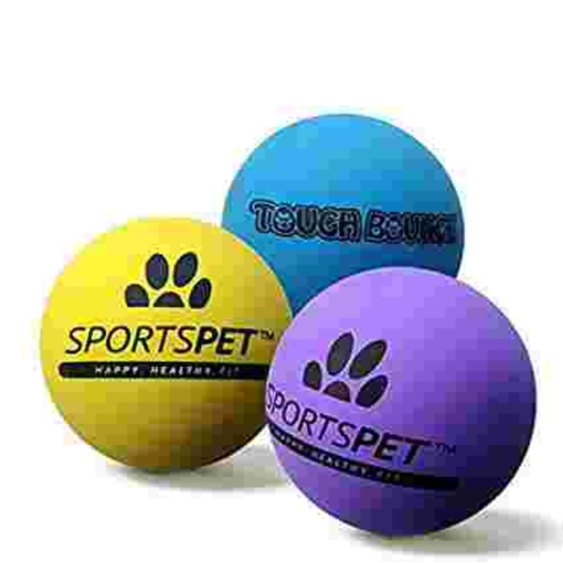 Sports Pet Tough Bounce Dog Ball
