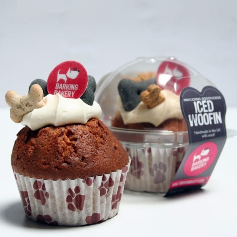 The Barking Bakery Iced Woofin Dog Cupcake
