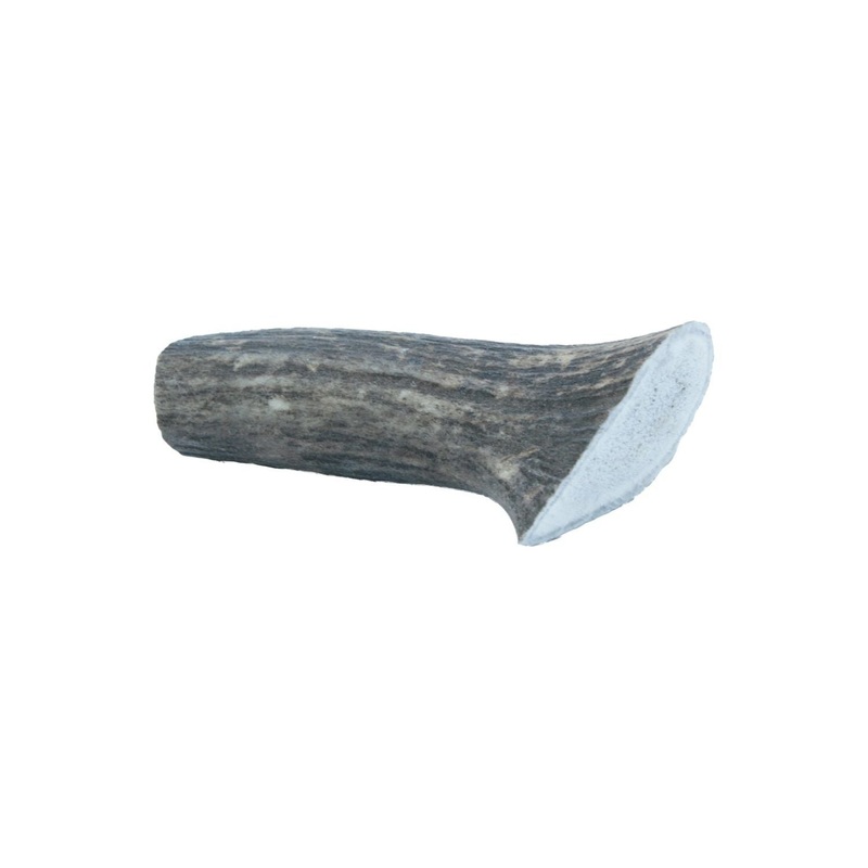 The Wild Antler Co. Whole Antler Dog Chew