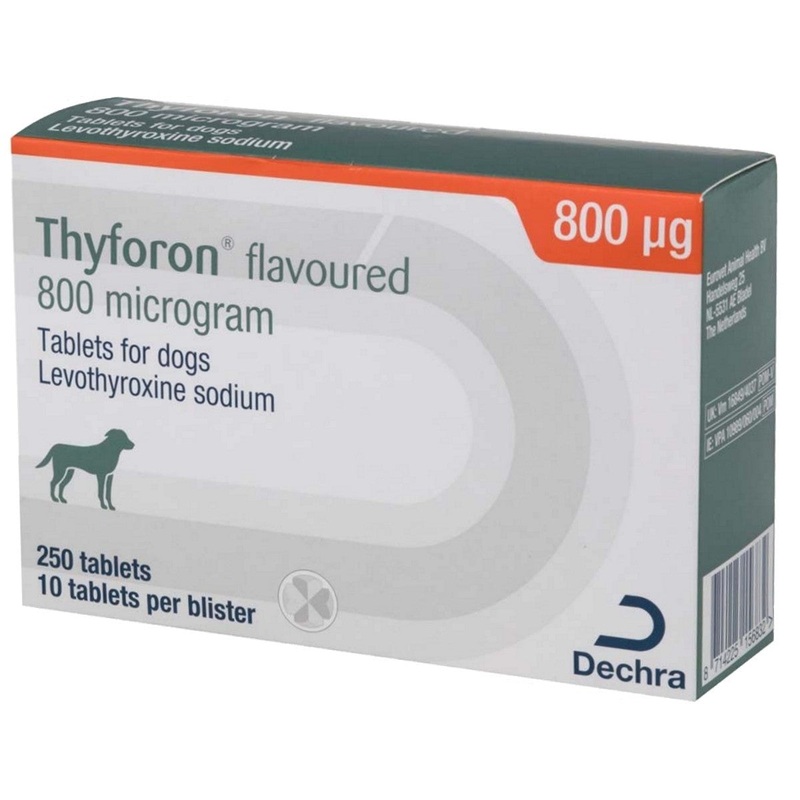Thyforon Flavoured Tablets for Dogs 800mg