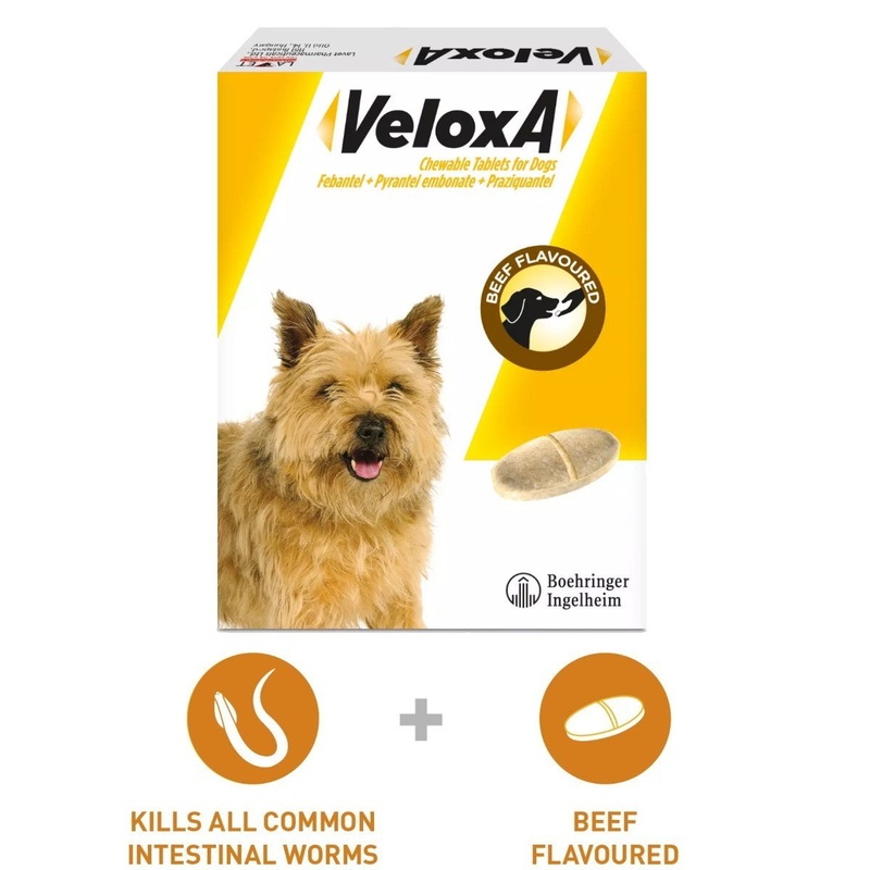 Veloxa Chewable Worming Tablets for Dogs (104PK)