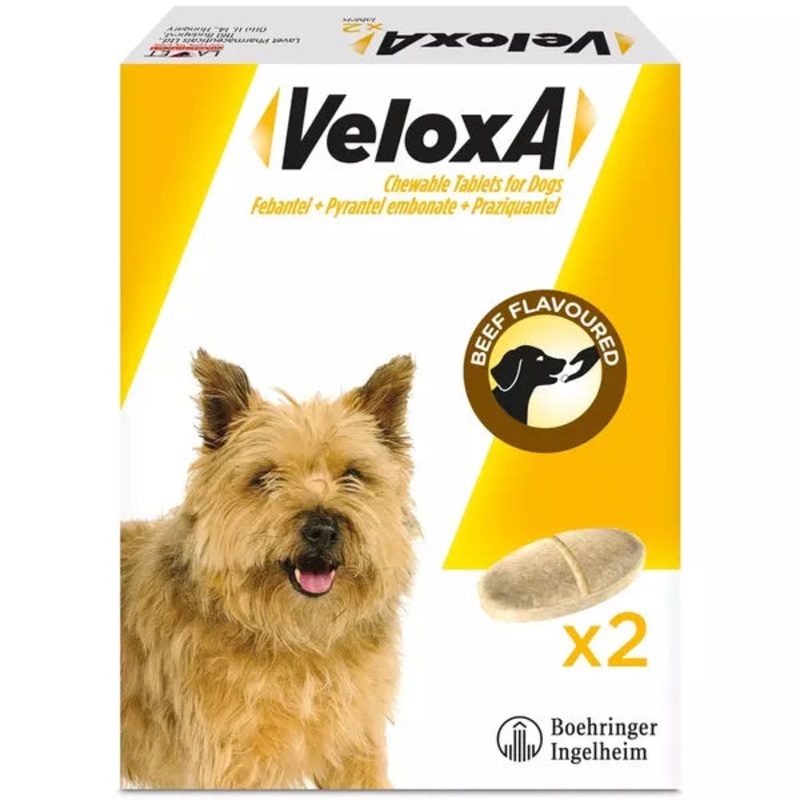 Veloxa Chewable Worming Tablets for Dogs (2PK)