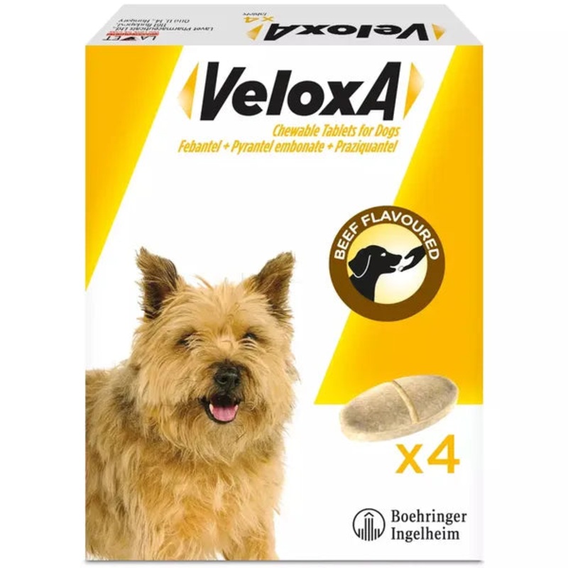 Veloxa Chewable Worming Tablets for Dogs (4PK)