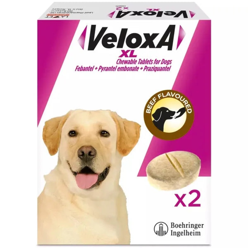 Veloxa XL Chewable Worming Tablets for Dogs (2PK)