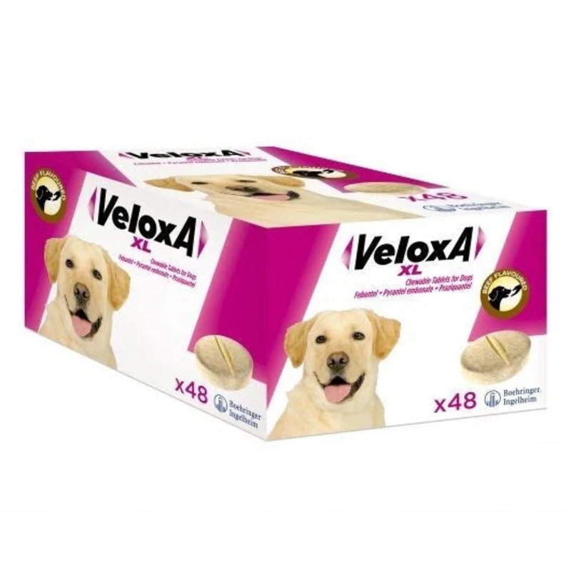 Veloxa XL Chewable Worming Tablets for Dogs (48PK)