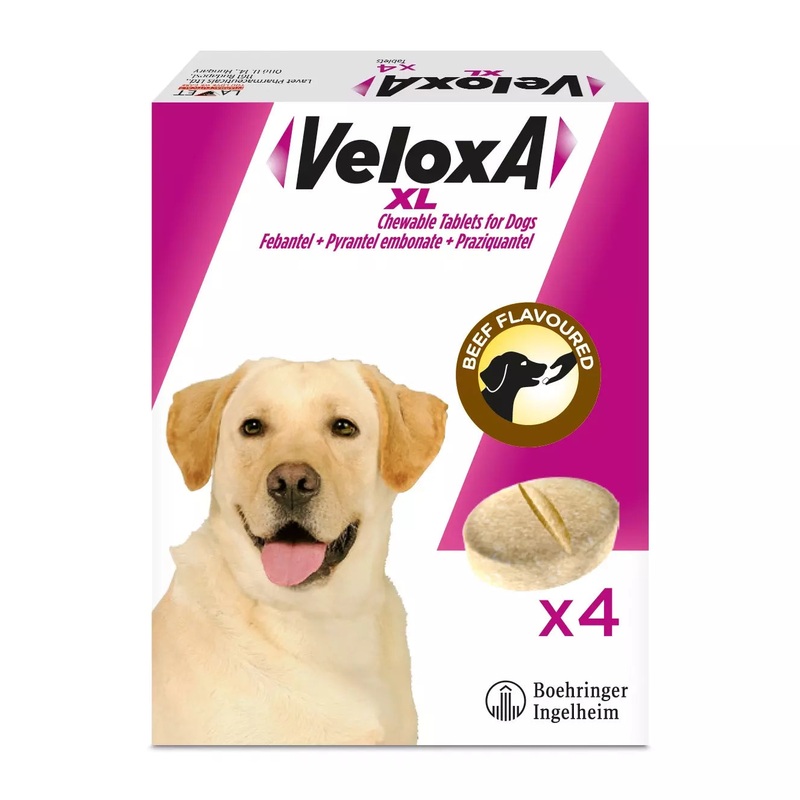 Veloxa XL Chewable Worming Tablets for Dogs (4PK)