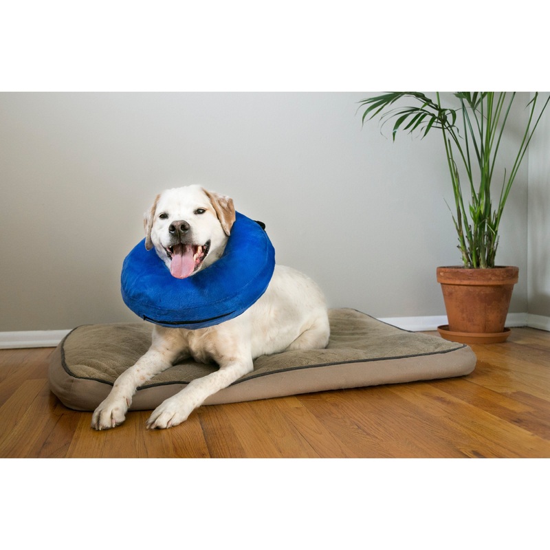 KONG Cloud Inflatable Dog & Cat Collar