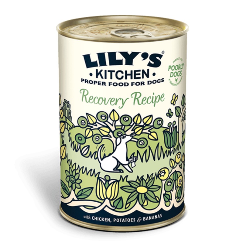 Lilys Kitchen Recovery Recipe Dog Food Tin 400g