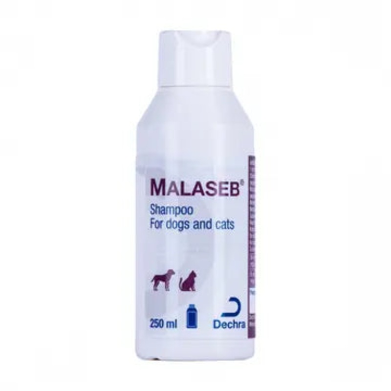 Malaseb Shampoo for Dogs and Cats