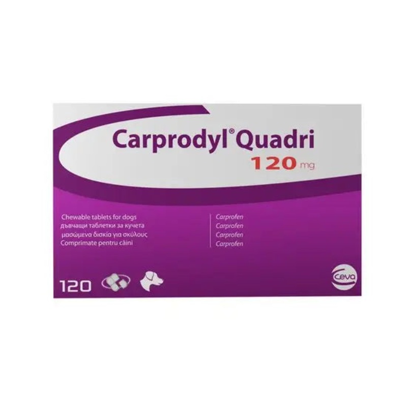 Carprodyl Quadri Chewable Tablets for Dogs 120mg