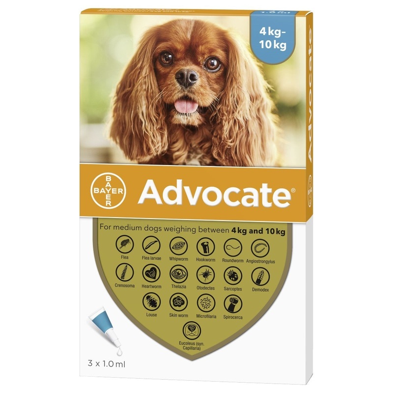 Advocate Spot-on 100 - Medium Dogs