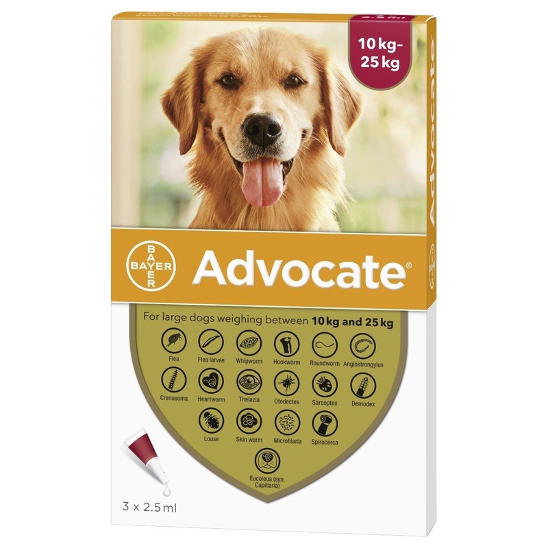 Advocate Spot-On 25 - Large Dog
