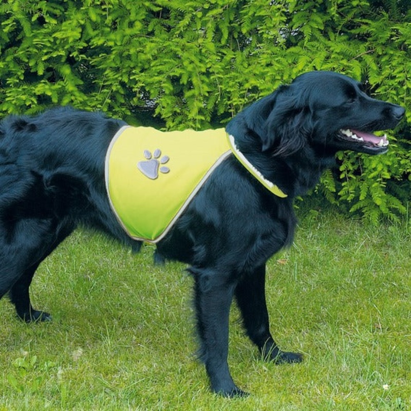 Hi-Vis Safety Vest for Dogs