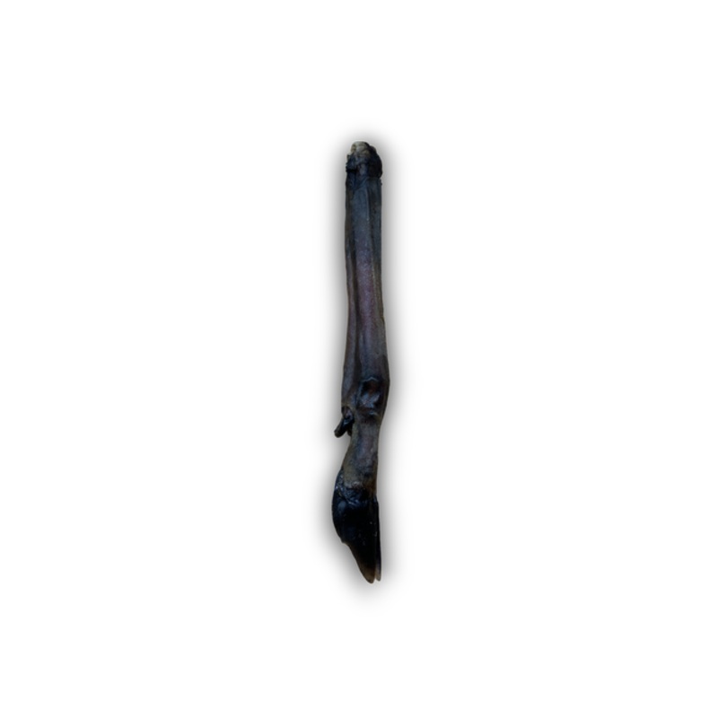 Anco Naturals Roe Deer Leg