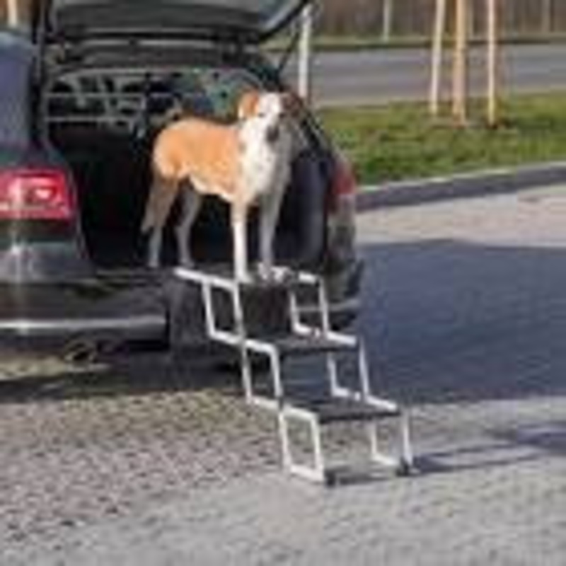 Folding Steps Petwalk 37x57x120cm