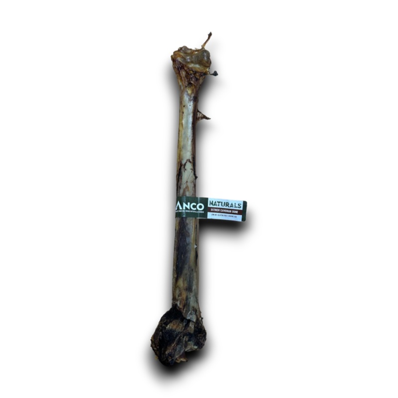 Ostrich caveman bones