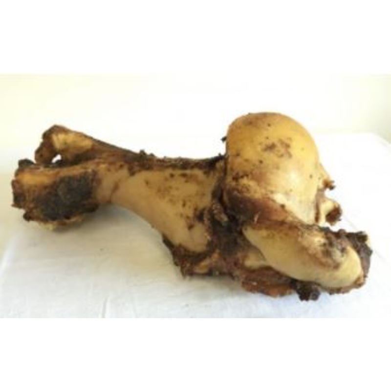 Roast Whole Bone 30cm
