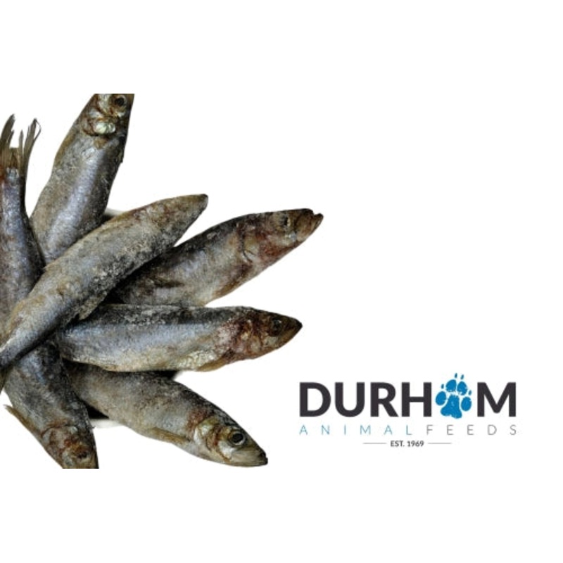 Durham Animal Feeds Herring 1kg