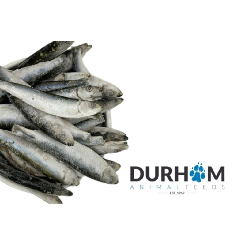 Durham Animal Feeds Sprats 1kg