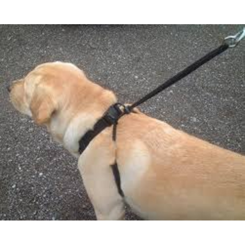 Mikki Anti-Pull Harness