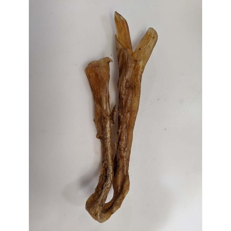 Achillies Tendons