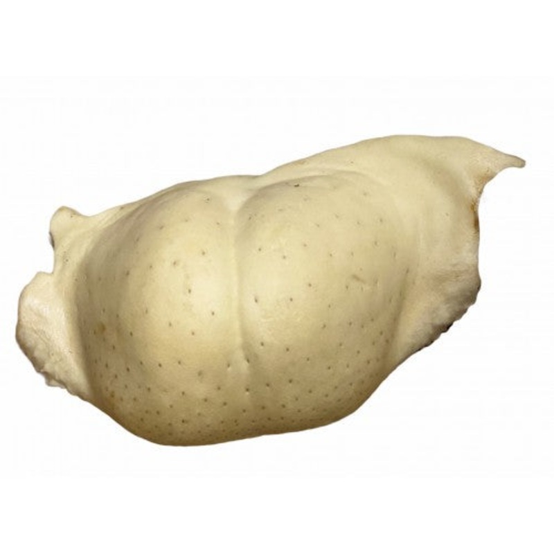 Bully Chins Single