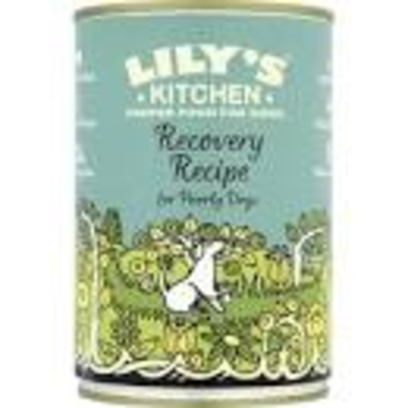 Lily's Kitchen Tin Recovery Recipe 400g