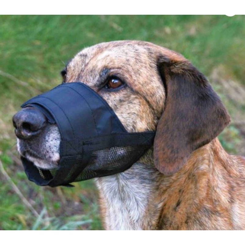 Muzzle with net insert, nylon M, black