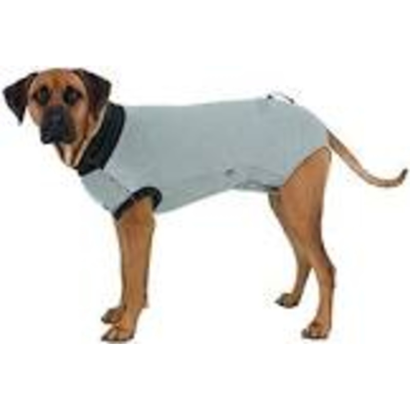 Protective Body L-Xl 62 Cm Grey