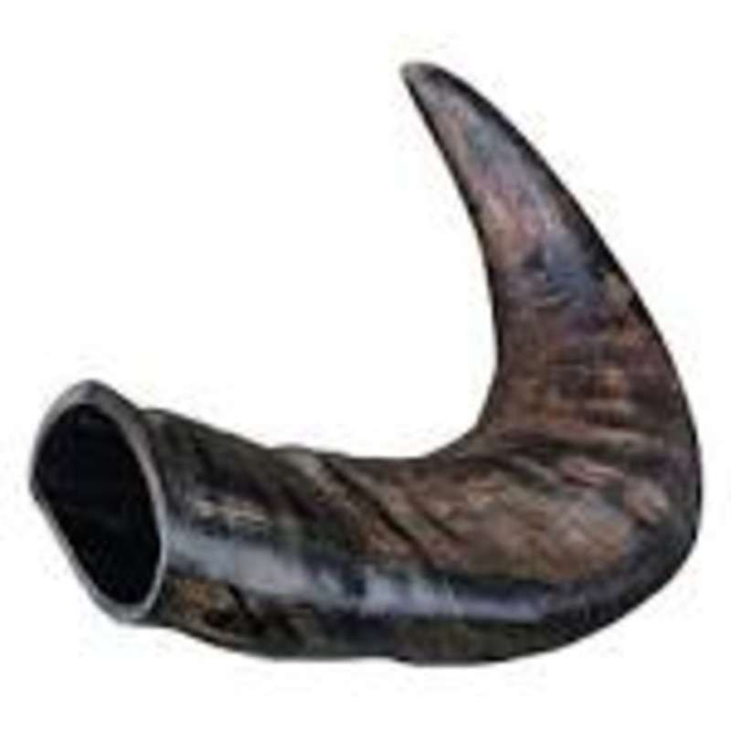 Genuine buffalo chewing horn medium