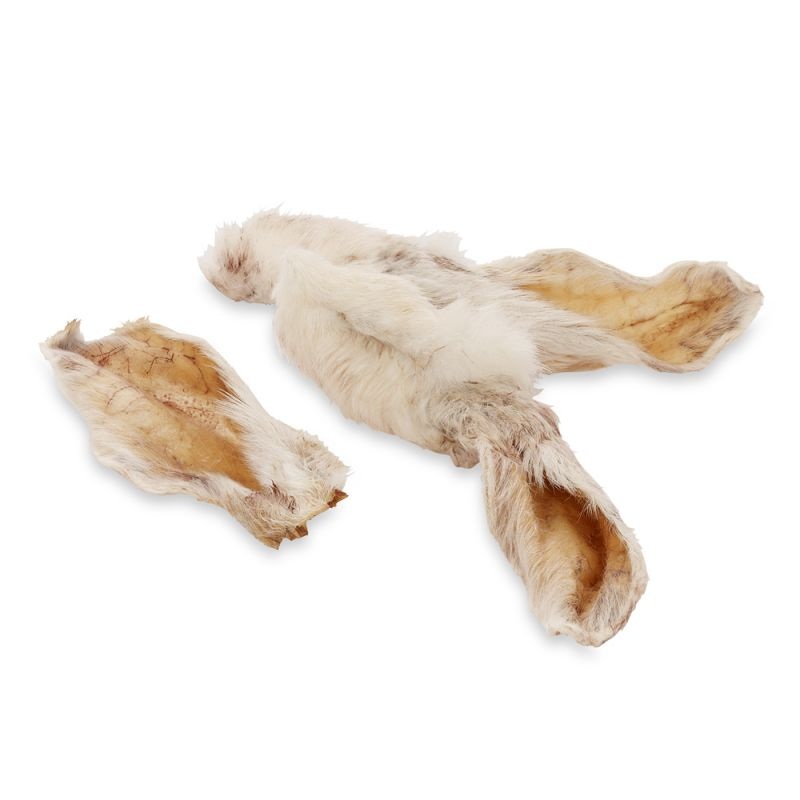 Large Rabbit Ears