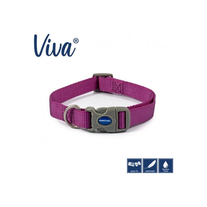Nylon Adjustable Collar in Purple Size 2-5