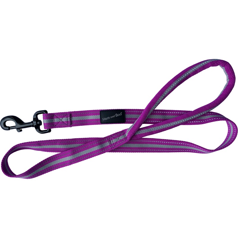 Sports Lead With Reflective Strip Purple 1" x 48"
