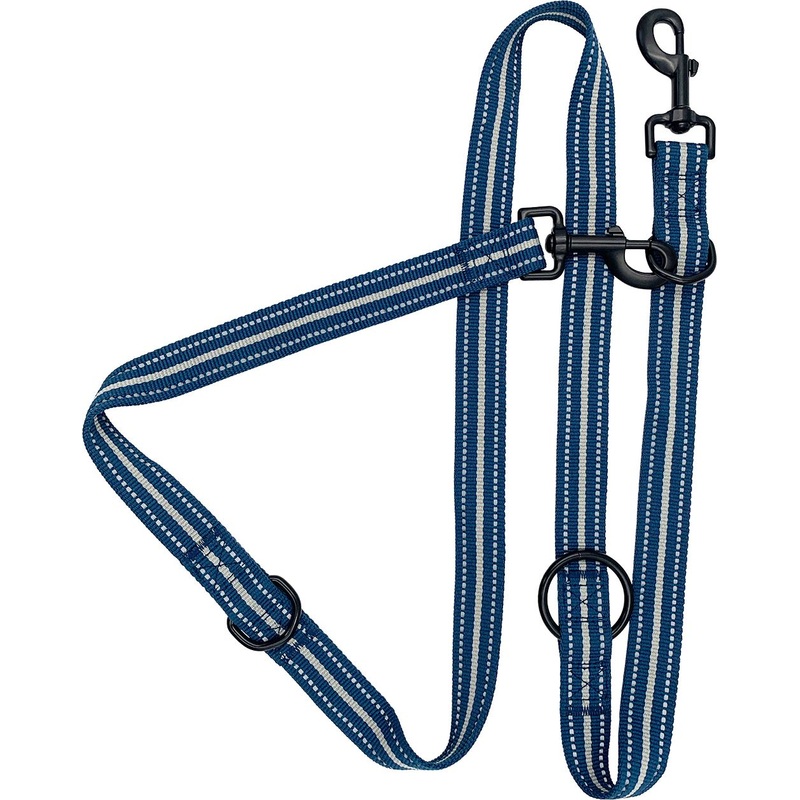 6-in-1 Sports Lead Blue 1" x 72"