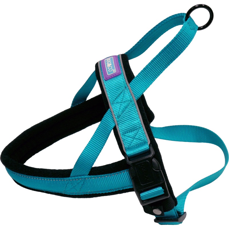 D&C Medium Reflective Padded Harness Aqua